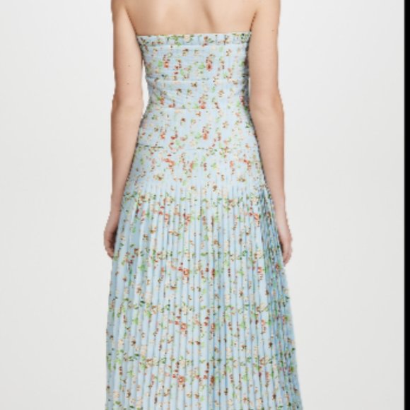 AMUR Hiyori Strapless Ruched Maxi Dress,Brand new 00 - Picture 2 of 16